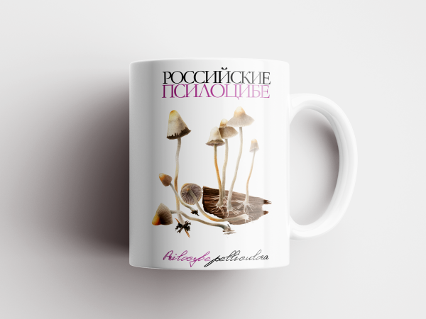 Кружка «Российские псилоцибе» Psilocybe pelliculosa