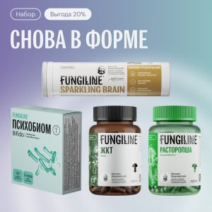 Набор «Снова в форме» • Sparkling Brain (14 таблеток) + Комплекс «ЖКТ» (60 капсул) + Расторопша (60 капсул) + Психобиом Bifido (30 капсул)