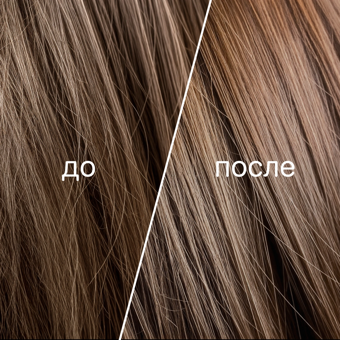 Basic Hair